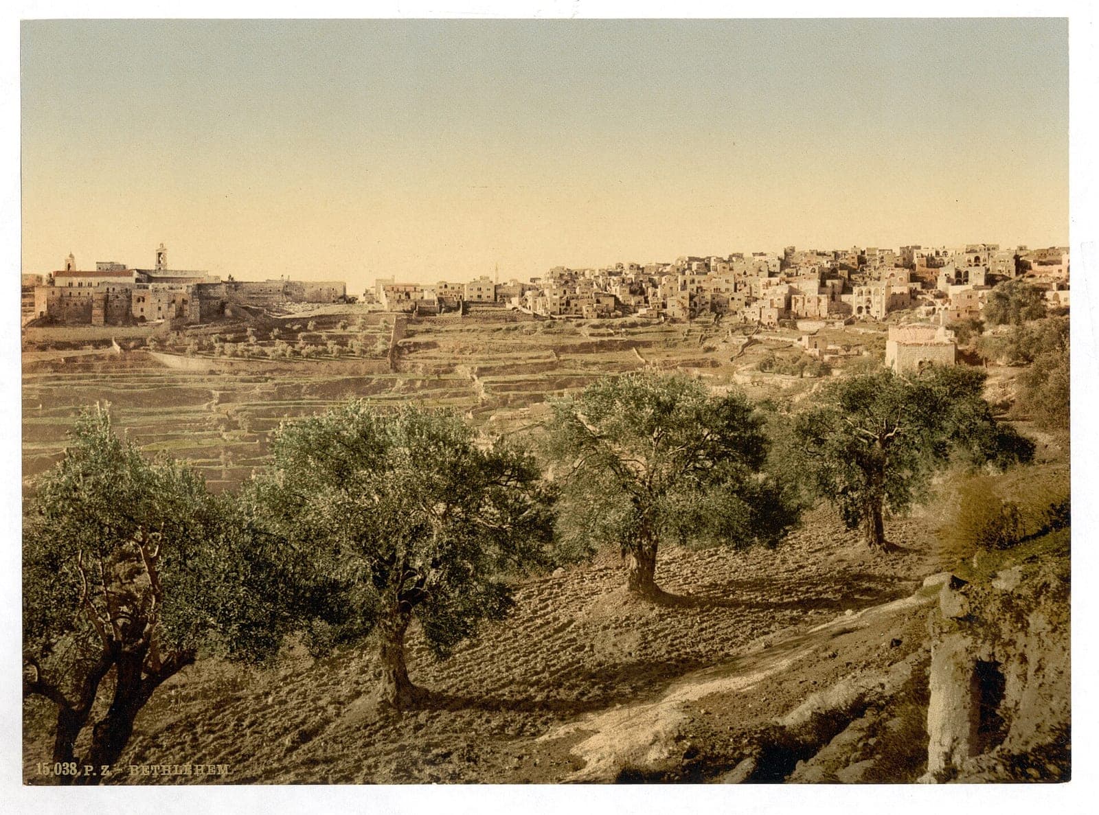 An old color photograph of Bethlehem on a ridge above terraces of olive trees.