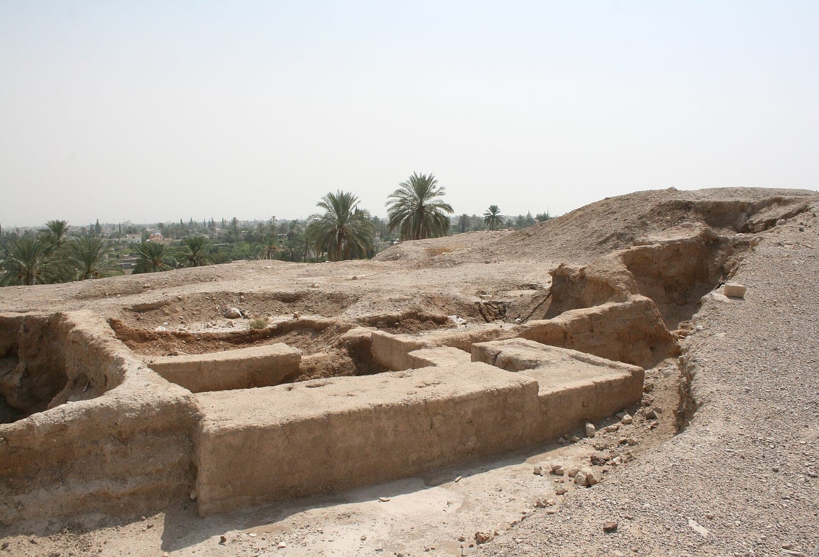 Walls uncovered by archaeologists on the mound of Tell es-Sultan, with palm trees in the distance.