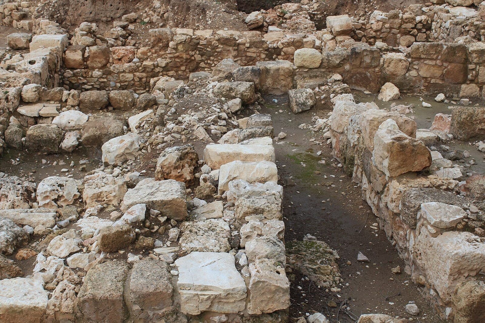 Rows of uncovered stone walls on the mound at Tel Shiloh, with no modern buildings in view.